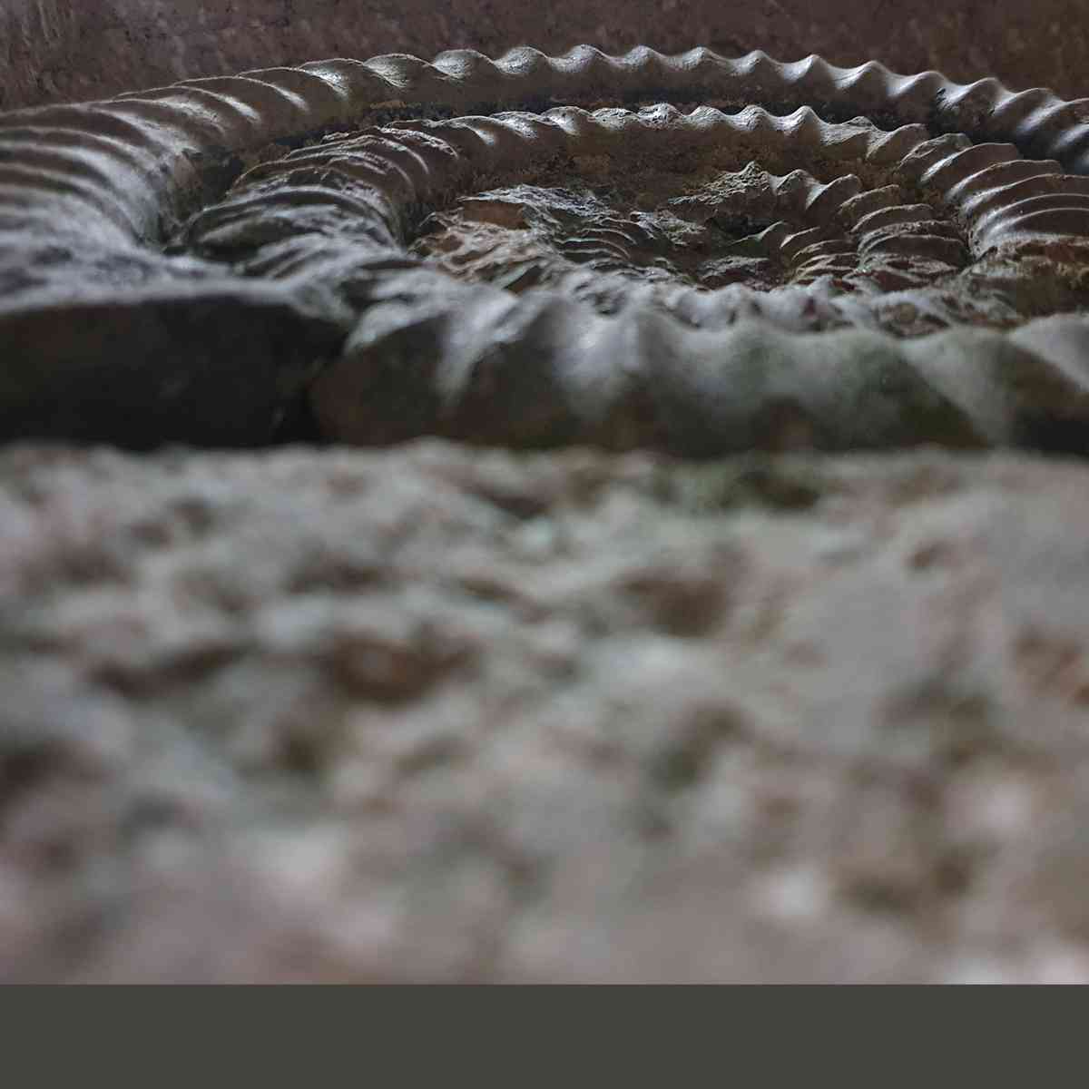 images/grabsteine/neutral-grafisch/erfürchtiger%20Ammonith.jpg#joomlaImage://local-images/grabsteine/neutral-grafisch/erfürchtiger Ammonith.jpg?width=1200&height=1200